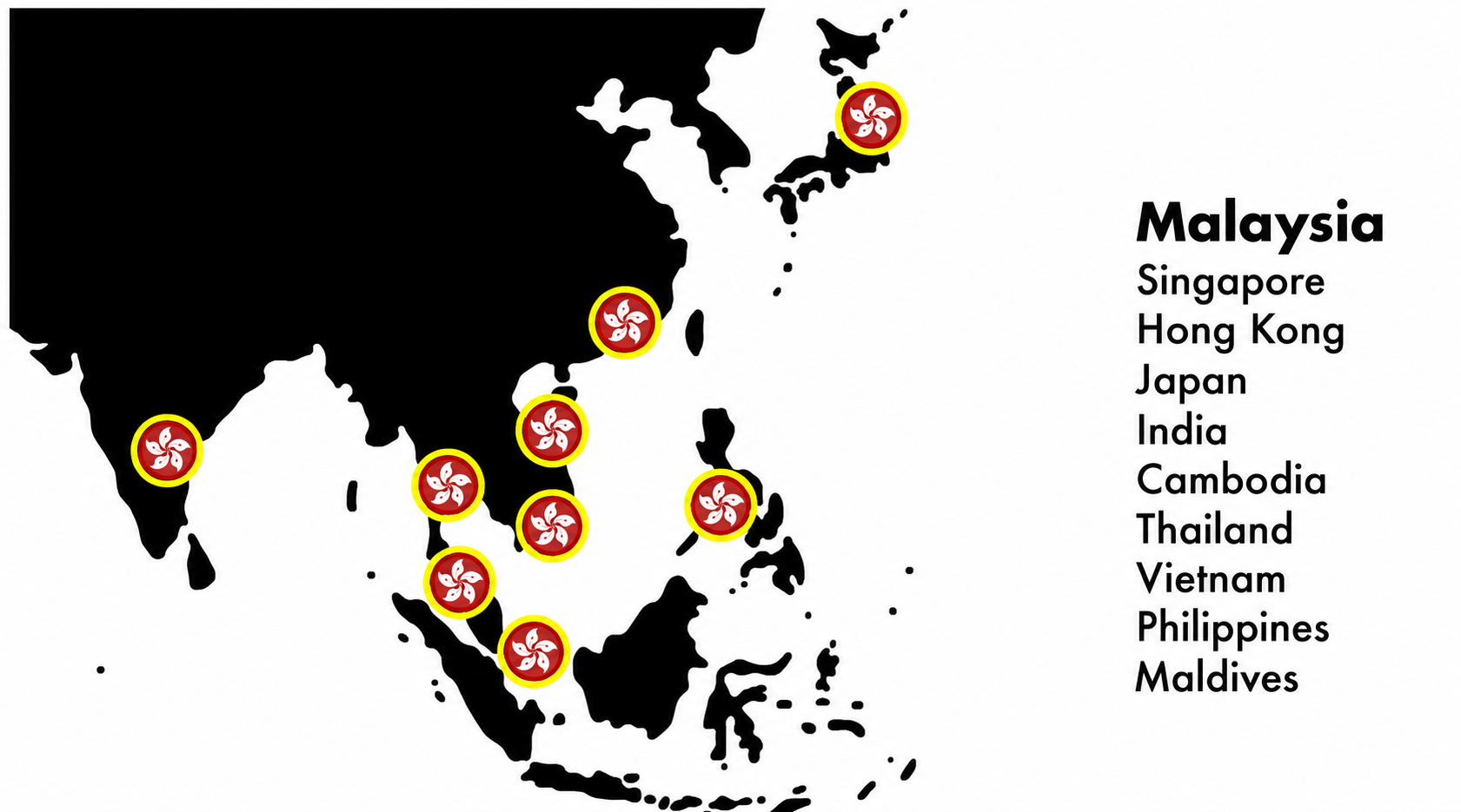 Vision Alliance presence across Asia Pacific